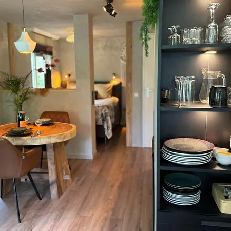 Sfeervol De Dassenburcht Holiday home Emst