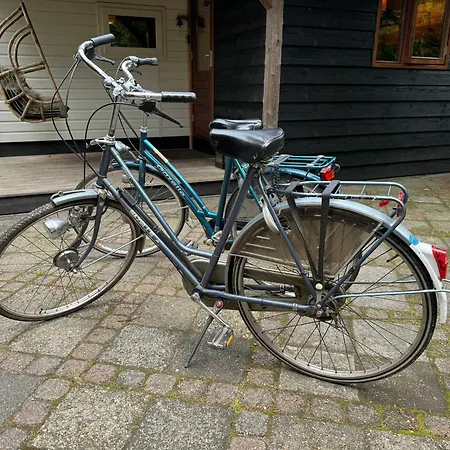 Sfeervol De Dassenburcht Holiday home *