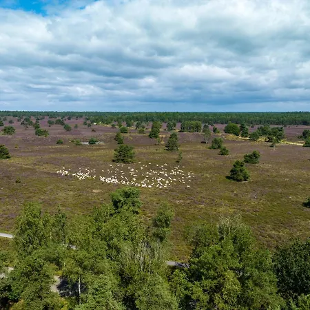 Nyaraló Sfeervol De Dassenburcht *