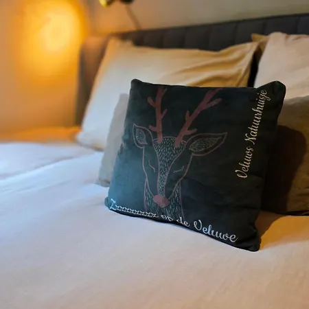 Sfeervol De Dassenburcht * Emst