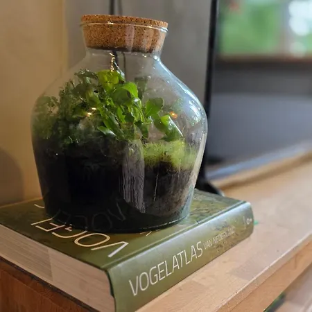 Sfeervol De Dassenburcht *