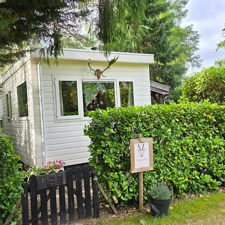 Сasa de vacaciones Sfeervol De Dassenburcht Emst