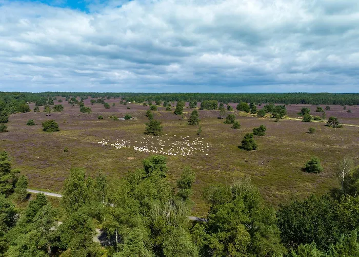 Дом отдыха Sfeervol De Dassenburcht *