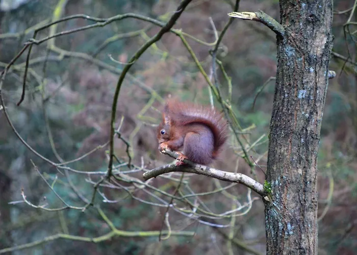 Sfeervol De Dassenburcht Дом отдыха Эмст