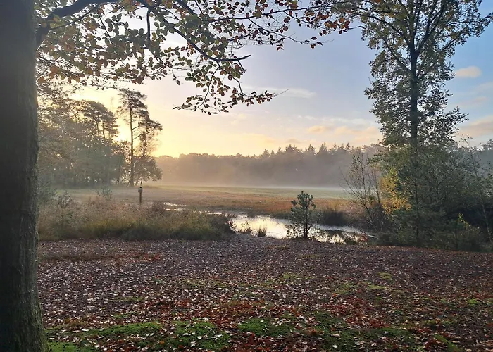 Semesterbostad Sfeervol De Dassenburcht Emst