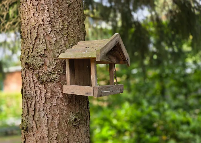 Sfeervol De Dassenburcht * Emst