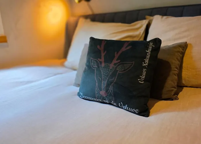 Sfeervol De Dassenburcht * Emst