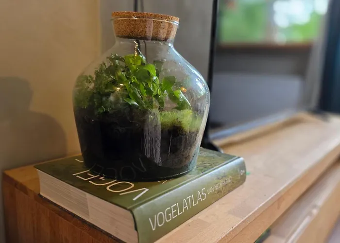 Sfeervol De Dassenburcht *