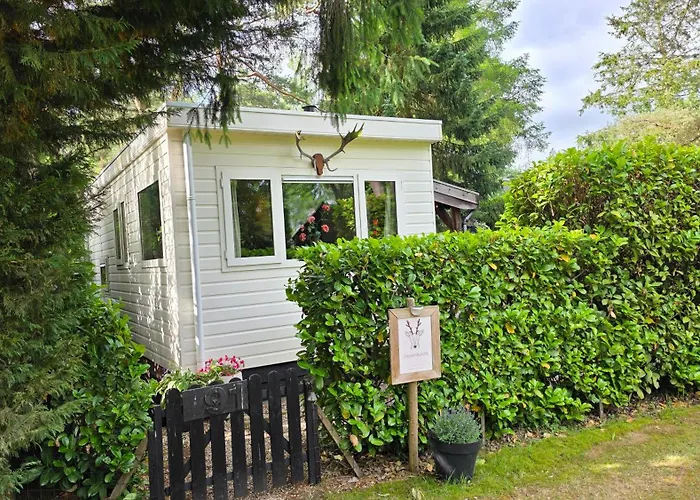 Semesterbostad Sfeervol De Dassenburcht Emst