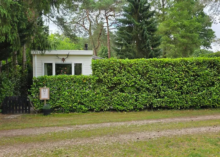 Sfeervol De Dassenburcht Дом отдыха *